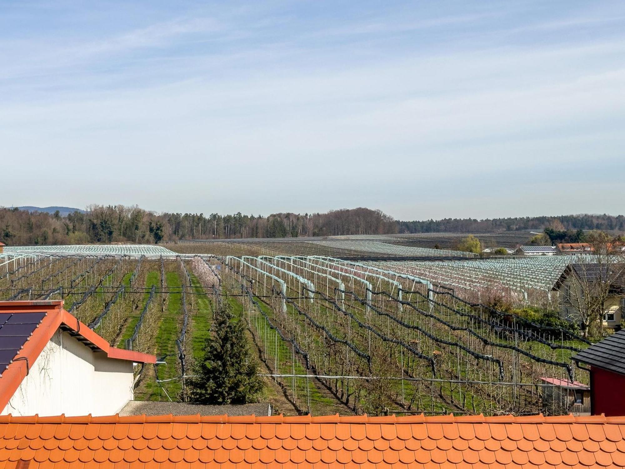 Obst- Ferienhof Ragg Immenstaad am Bodensee Exterior photo